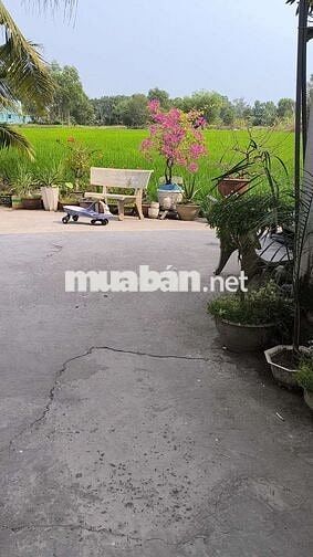 nhà bán huyện Bình Chánh xã Phước Lý tỉnh long an