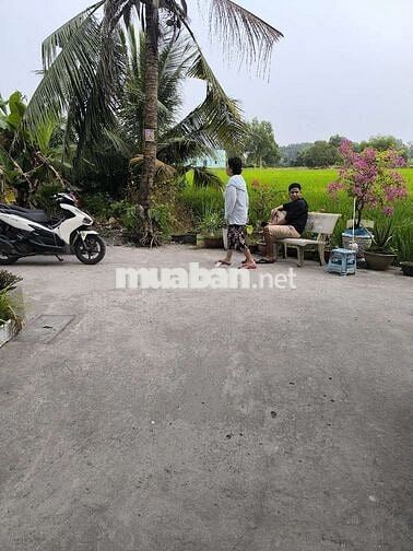 nhà bán huyện Bình Chánh xã Phước Lý tỉnh long an