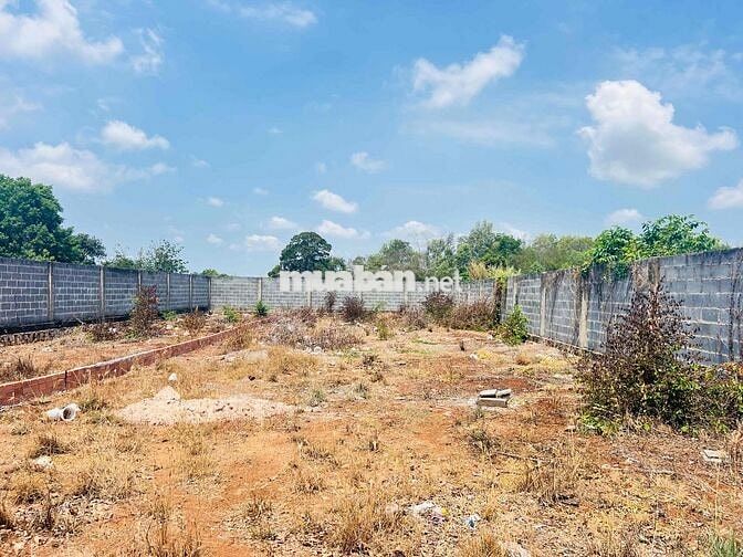 HẠ GIÁ BÁN GẤP – LÔ ĐẤT ĐẸP MẶT TIỀN TRẦN QUANG DIỆU, THỊ TRẤN ĐẤT ĐỎ