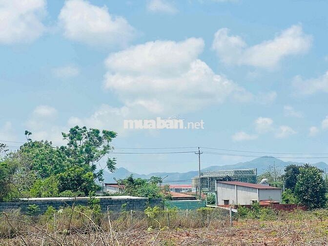 HẠ GIÁ BÁN GẤP – LÔ ĐẤT ĐẸP MẶT TIỀN TRẦN QUANG DIỆU, THỊ TRẤN ĐẤT ĐỎ
