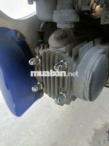SYM Elegant 50cc Xanh, Bạc