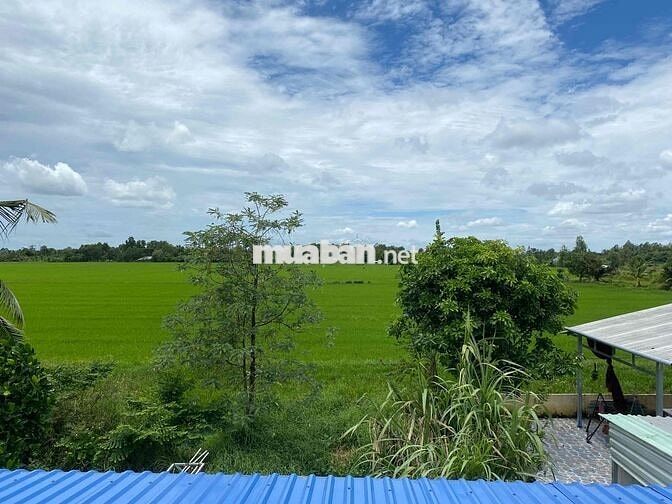 Nhà mái thai có gác lững kiên cố, wiu lúa sau  .