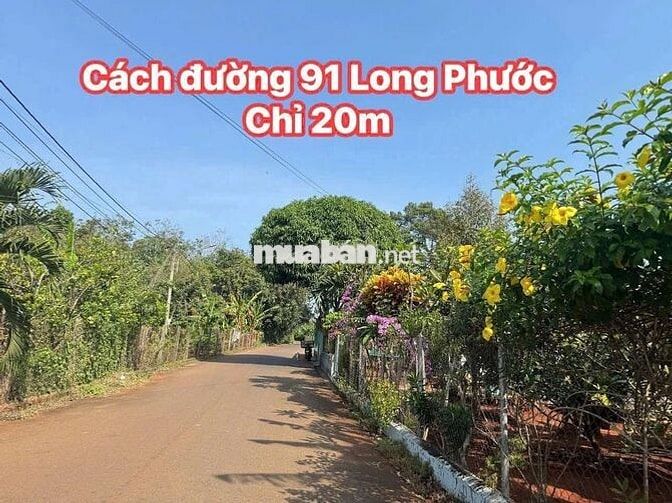 ac cần 500 m2 mặt tiền nhựa Làm vườn đất đỏ Tp Bà Rịa lấy e này 1tỷ280