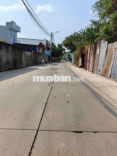 ĐƯỜNG NHỰA XE HƠI THÔNG - TÂN HIỆP GẦN ,CHỢ TRƯỜNG