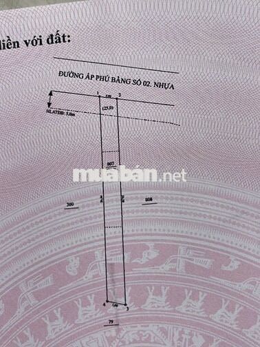 Cần sang cọc gấp lô đất An Long TpHCM 276m2 đường nhựa giá rẻ 625tr