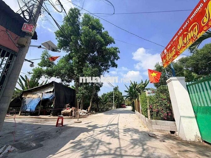Đất thổ cư 2/đường số 86-Tân Phú Trung-Củ Chi.Dt 15,5x64~987m2~5,5ty