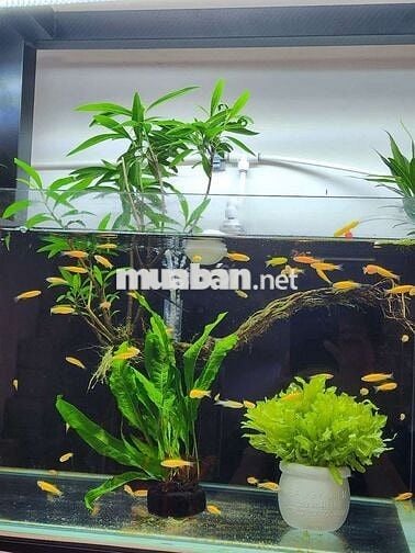 Nam làm kho hàng TMĐT ×  Bình Thạnh