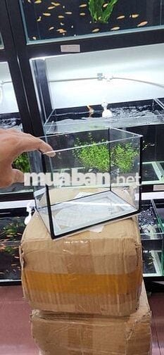 Nam làm kho hàng TMĐT ×  Bình Thạnh