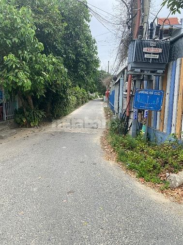 Chính chủ cần bán gấp đất cách trục Trần Thủ Độ chỉ 50m giá tốt nhất