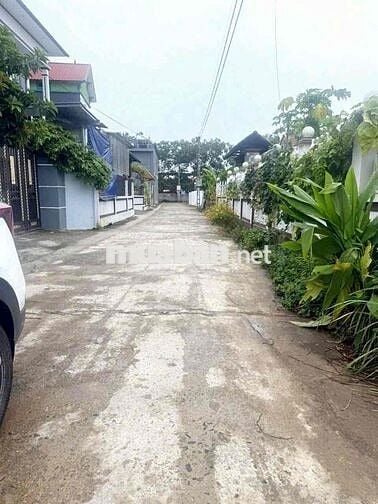 bán đất Trung Mỹ , Bình Xuyên, vĩnh phúc