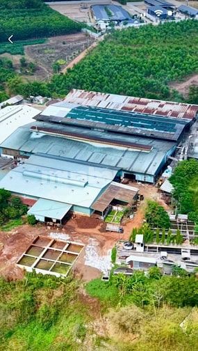 BÁN NHÀ XƯỞNG SX MỦ CAO SU KÈM TOÀN BỘ MÁY MÓC ĐANG HOẠT ĐỘNG