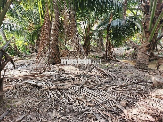 Cần bán gấp đất,giá cả có thể thương lượng, có hoa hồng cho môi giới