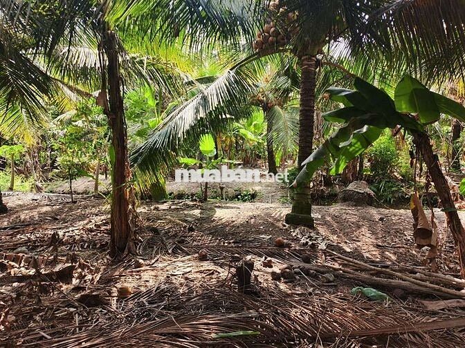 Cần bán gấp đất,giá cả có thể thương lượng, có hoa hồng cho môi giới