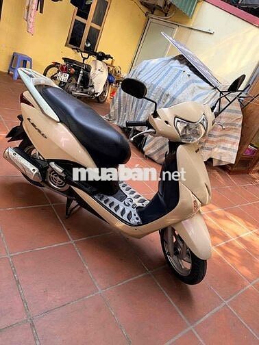 Honda Lead Vàng kem