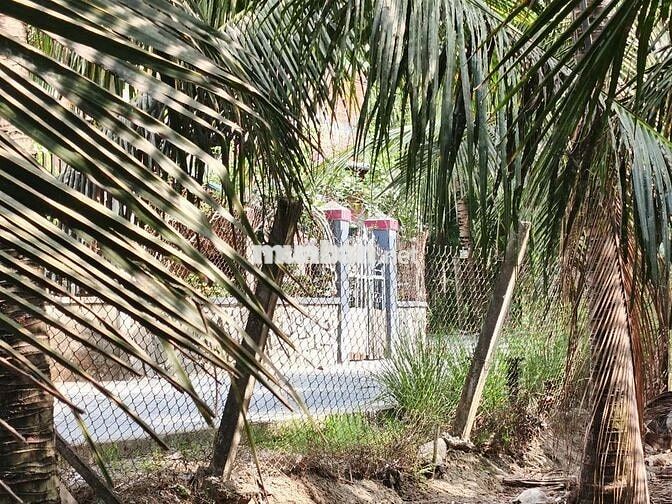 Cần bán gấp đất,giá cả có thể thương lượng, có hoa hồng cho môi giới