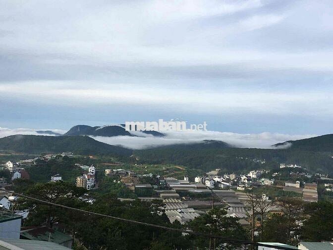 BÀ CHỊ GỬI BÁN LÔ ĐẤT 1.650m² – ĐẤT NÔNG NGHIỆP QUY HOẠCH THỔ CƯ 🌿  📍