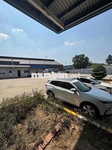 CHUTEX TUYỂN NV SOẠN HÀNG