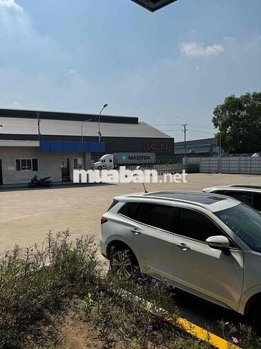 CHUTEX TUYỂN NV SOẠN HÀNG