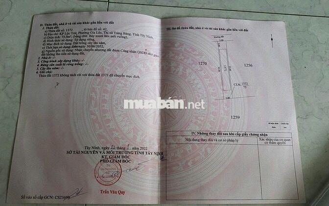 Chính chủ bán đất Gia Lộc- Trảng Bàng- Tây Ninh