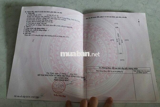Chính chủ bán đất Gia Lộc- Trảng Bàng- Tây Ninh