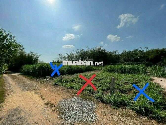 Chính chủ bán đất Gia Lộc- Trảng Bàng- Tây Ninh