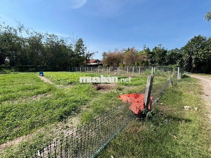 Chính chủ bán đất Gia Lộc- Trảng Bàng- Tây Ninh