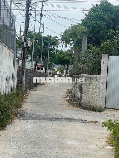 154m2 NGANG 7m KIỆT Ô TÔ VỊ TRÍ ĐẸP NHẤT PHƯỜNG HOÀ QUÝ CHỈ 3,1 TỶ