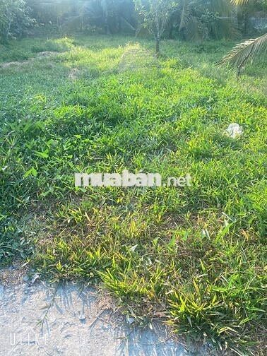 🔥 SIÊU PHẨM GIÁ MỀM – 4 NỀN LIỀN KỀ TRUNG TÂM TPCT 🔥