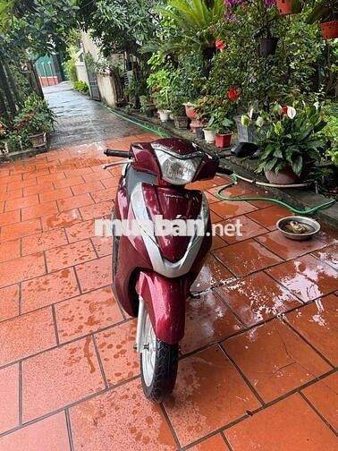 Honda Lead 125cc 2014 Đỏ