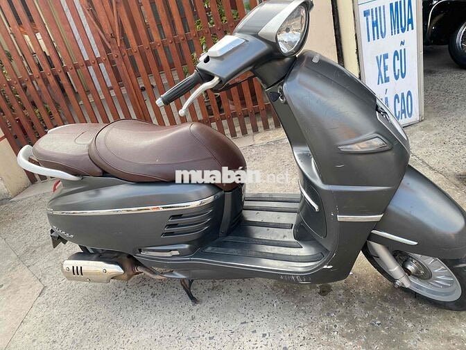Peugeot Django 2022 Xám
