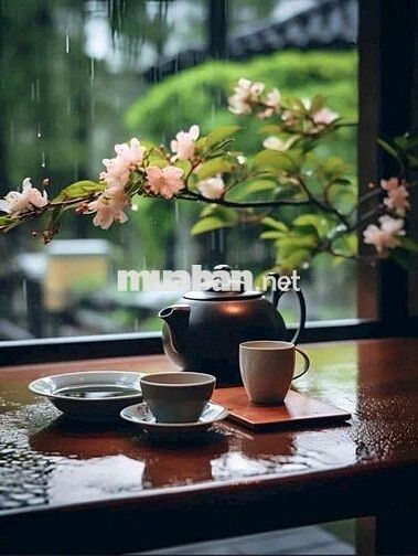Cho thuê nhà khu Nguyễn cửu đàm phường Tân Sơn nhì: 4 x 18 đúc 1 lầu 