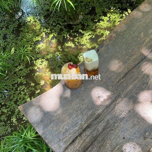 Cho thuê nhà khu Nguyễn cửu đàm phường Tân Sơn nhì: 4 x 18 đúc 1 lầu 
