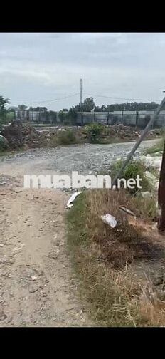 Bán đất vườn gần UBND xã Bình Mỹ mới