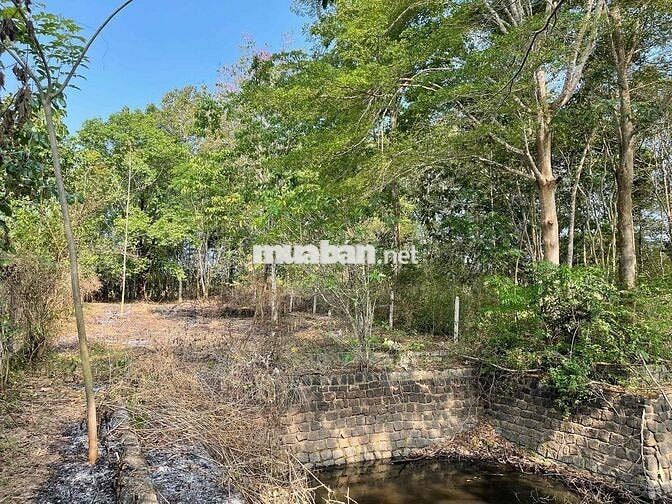 Chính chủ cần bán 1010m2 Túc Trưng, Đồng Nai