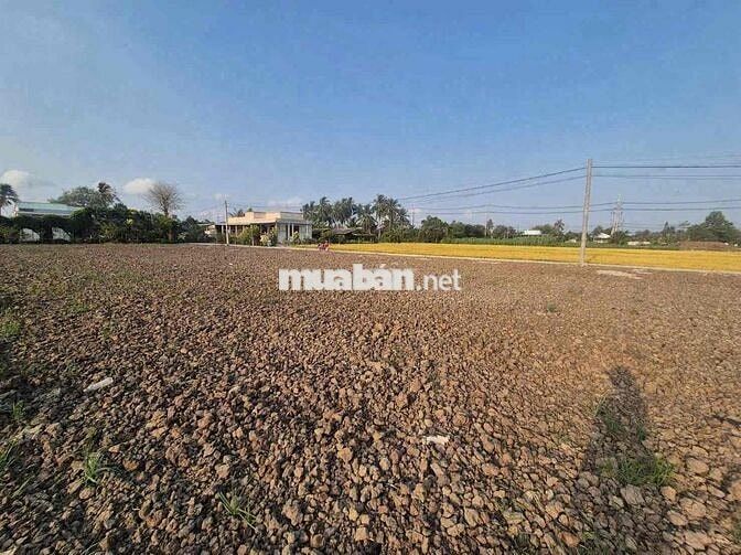 Đất Mặt Tiền Gò Công Tây Siêu Tiềm Năng Chốt Ngay Giảm 40 Triệu Liền