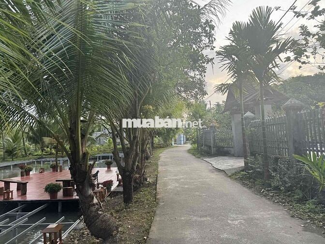 Cần bán gấp 11.800m2 đất Định Quán Tp tw Đồng Nai