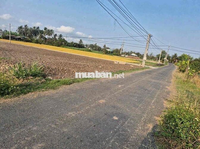 Đất Mặt Tiền Gò Công Tây Siêu Tiềm Năng Chốt Ngay Giảm 40 Triệu Liền