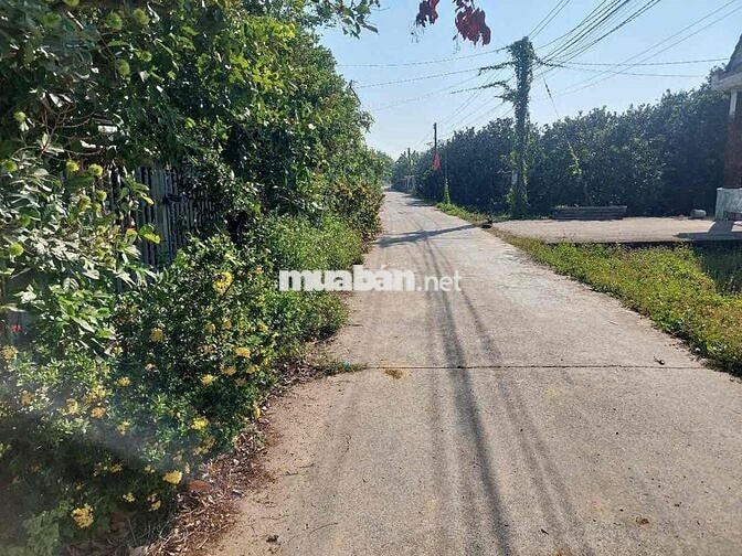 Bạch Đằng Giá Rẻ, Thổ cư, SH Riêng