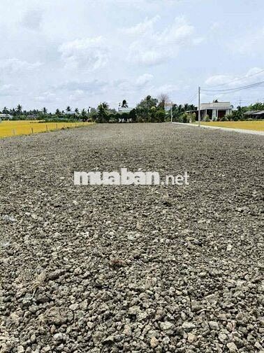 Đất Mặt Tiền Gò Công Tây Siêu Tiềm Năng Chốt Ngay Giảm 40 Triệu Liền