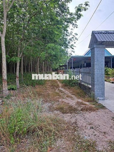 Chính chủ cần bán gần 1 héc đất 2mặt đường 7m