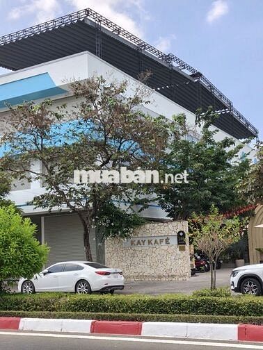 Cho Thuê Toà Nhà Mặt Tiền 600m2 Sàn Đường Bạch Đằng
