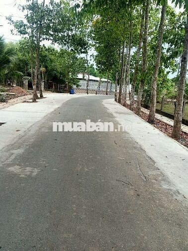 Đất nền full thổ 1311m2 Thái Mỹ (Củ Chi), Tp.HCM