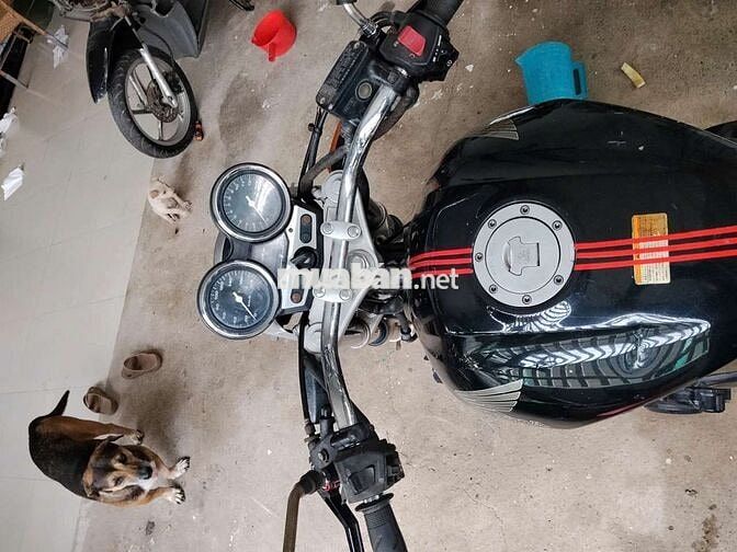 Honda CB400 Vtec1 Đen