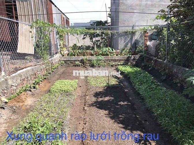 CẦN BÁN GẤP LÔ ĐẤT ĐẸP QUẬN 12 - SỔ RIÊNG CHÍNH CHỦ