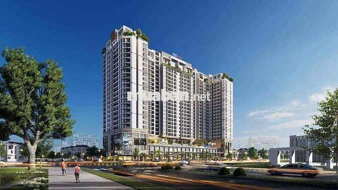 Cho thuê chung cư cao cấp Vũng Tàu