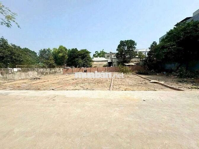 🔥BÁN LÔ ĐẤT KIỆT Ô TÔ 268 TÔ HIỆU – HÒA MINH, LIÊN CHIỂU