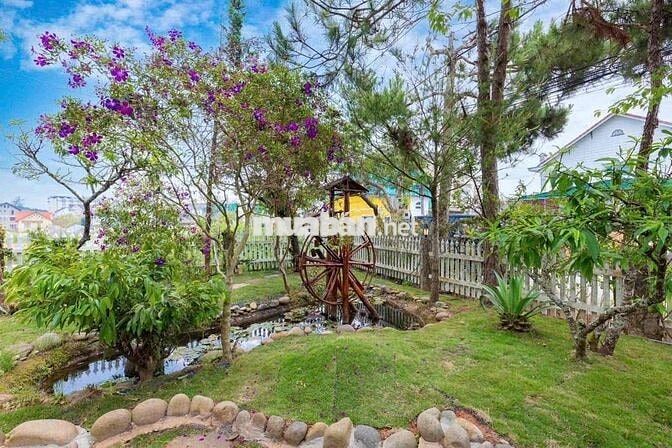 cho thuê villa 1200m2 cafe villa 21 phòng trần đại nghĩa p8 đà lạt 45