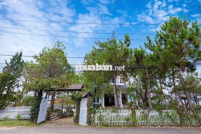 cho thuê villa 1200m2 cafe villa 21 phòng trần đại nghĩa p8 đà lạt 45