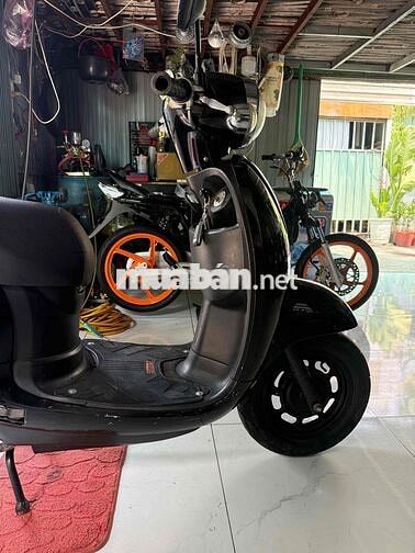 Honda Scoopy 2019 Đen Nguyên zin