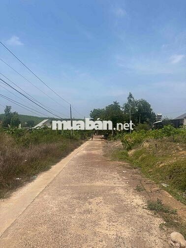 Chính chủ cần bán gấp lô đất ngay trung tâm Bù Nho Đồng Nai